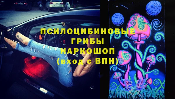 сатива Абинск