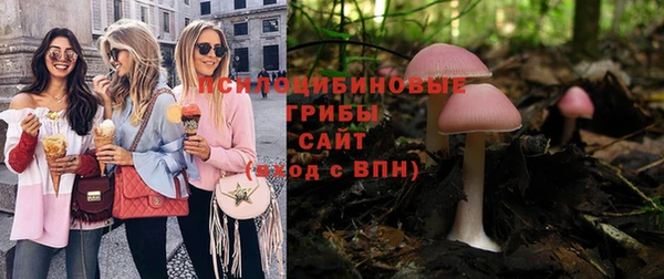 сатива Абинск